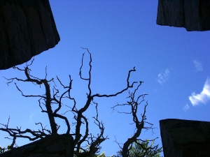 Kunst unter freiem Himmel