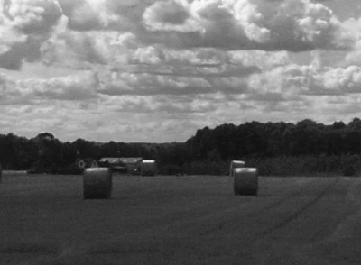 Feld