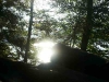 photo_titisee