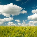 Clouds von theaucitron (CC-BY-SA)