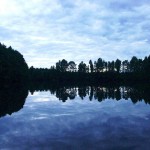 Ein Geist wie Wasser